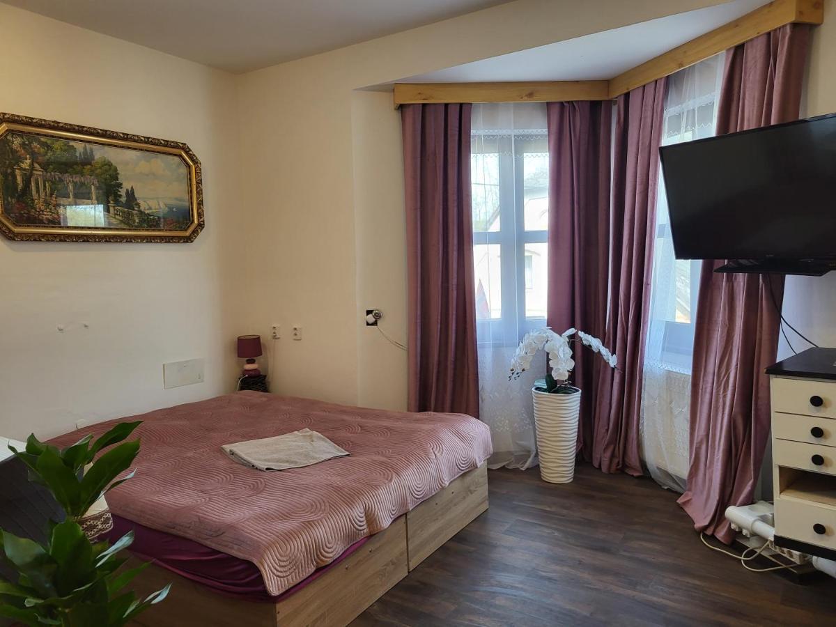 Pension Doctor Dvůr Králové nad Labem 객실 사진
