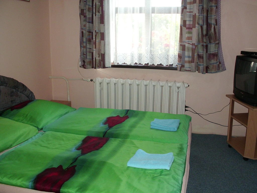 Pension Doctor Dvůr Králové nad Labem 객실 사진